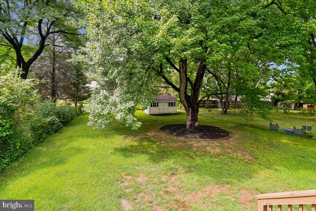 9817 Cherry Tree Lane Silver Spring, MD 20901 - Photo 46 of 73