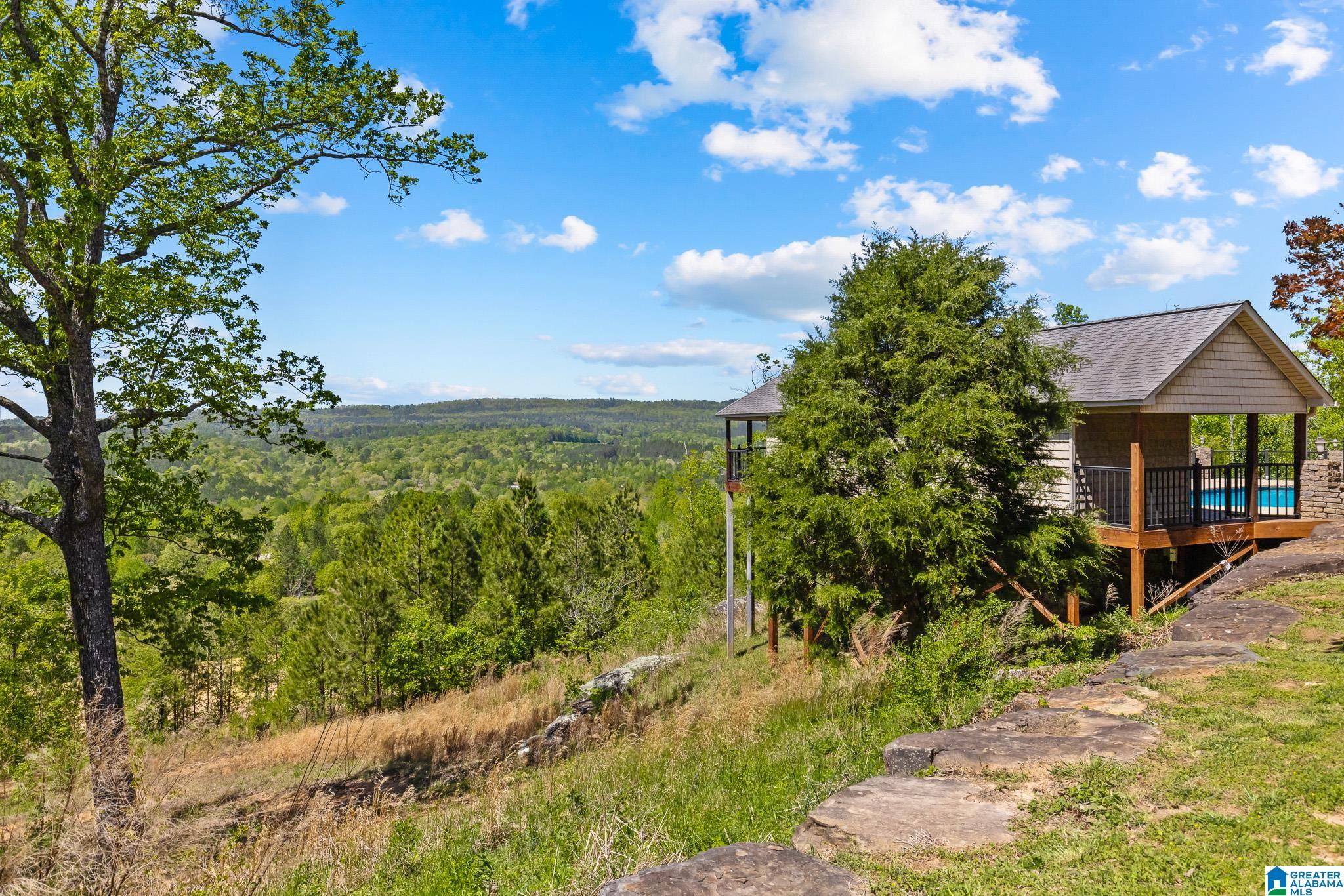 206 Shaw Road Pell City, AL 35128 - Photo 68 of 93