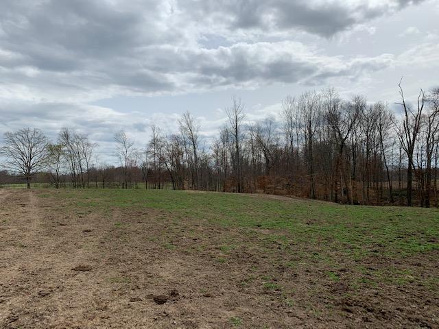 0 Frontage Road Russell Springs, KY 42642 - Photo 14 of 16 14