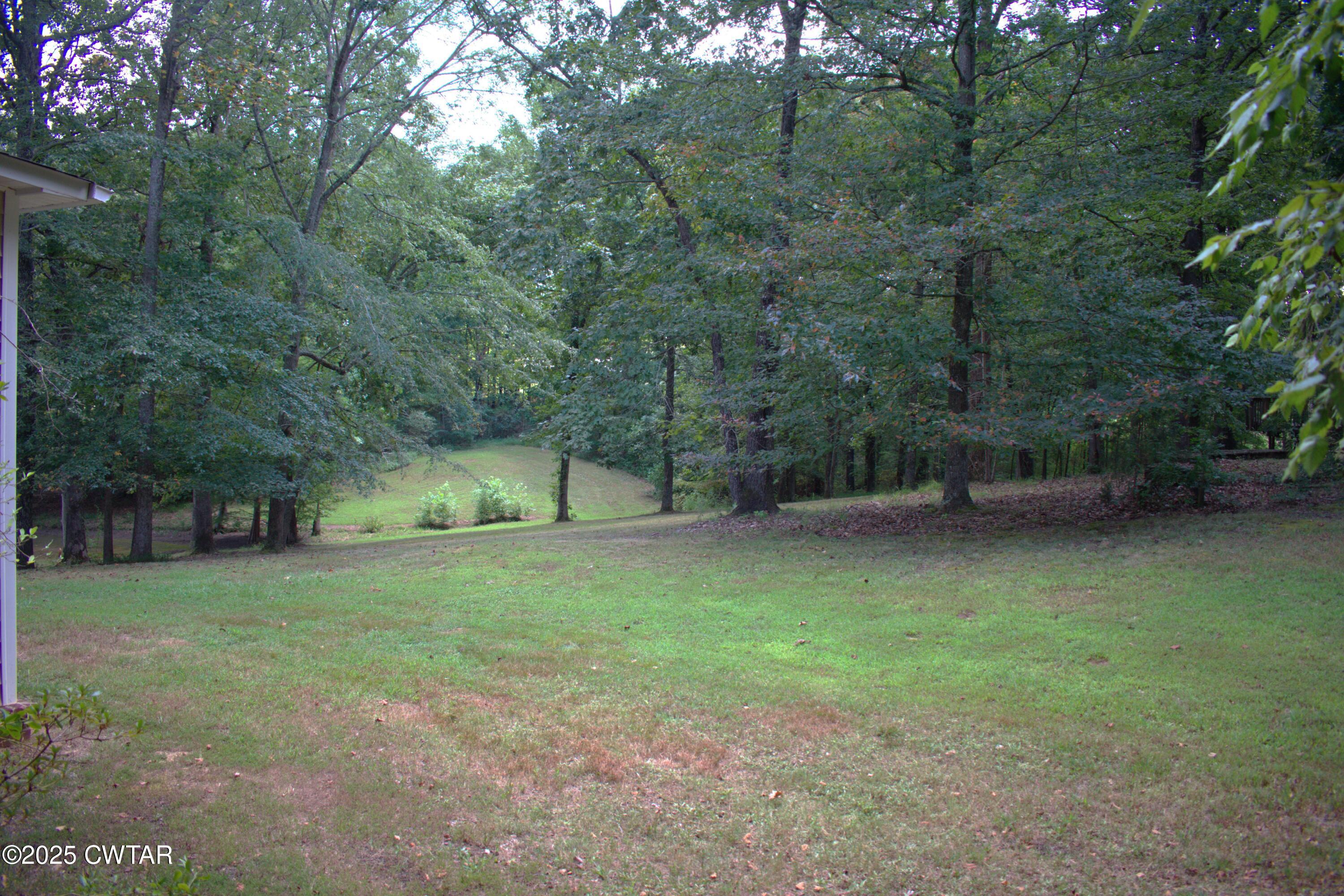 715 Roundtree Lane Beech Bluff, TN 38313 - Photo 21 of 24 a view of a trees in a yard