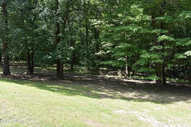 a view of a lake with a trees