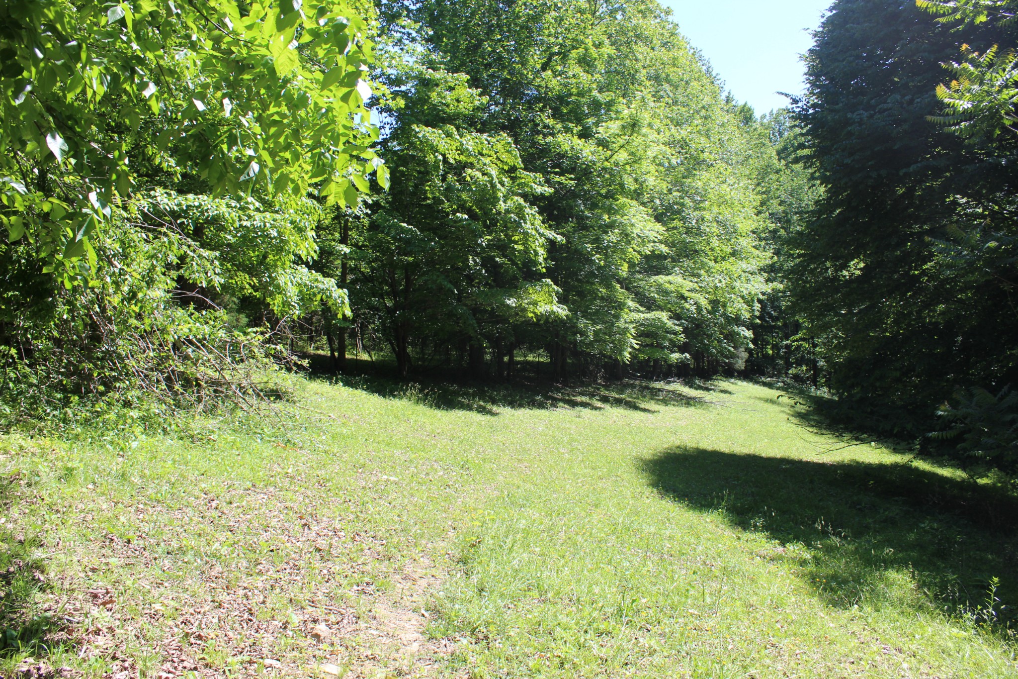 0 Hall Road Greenbrier, TN 37073 - Photo 24 of 28 a view of yard with green space