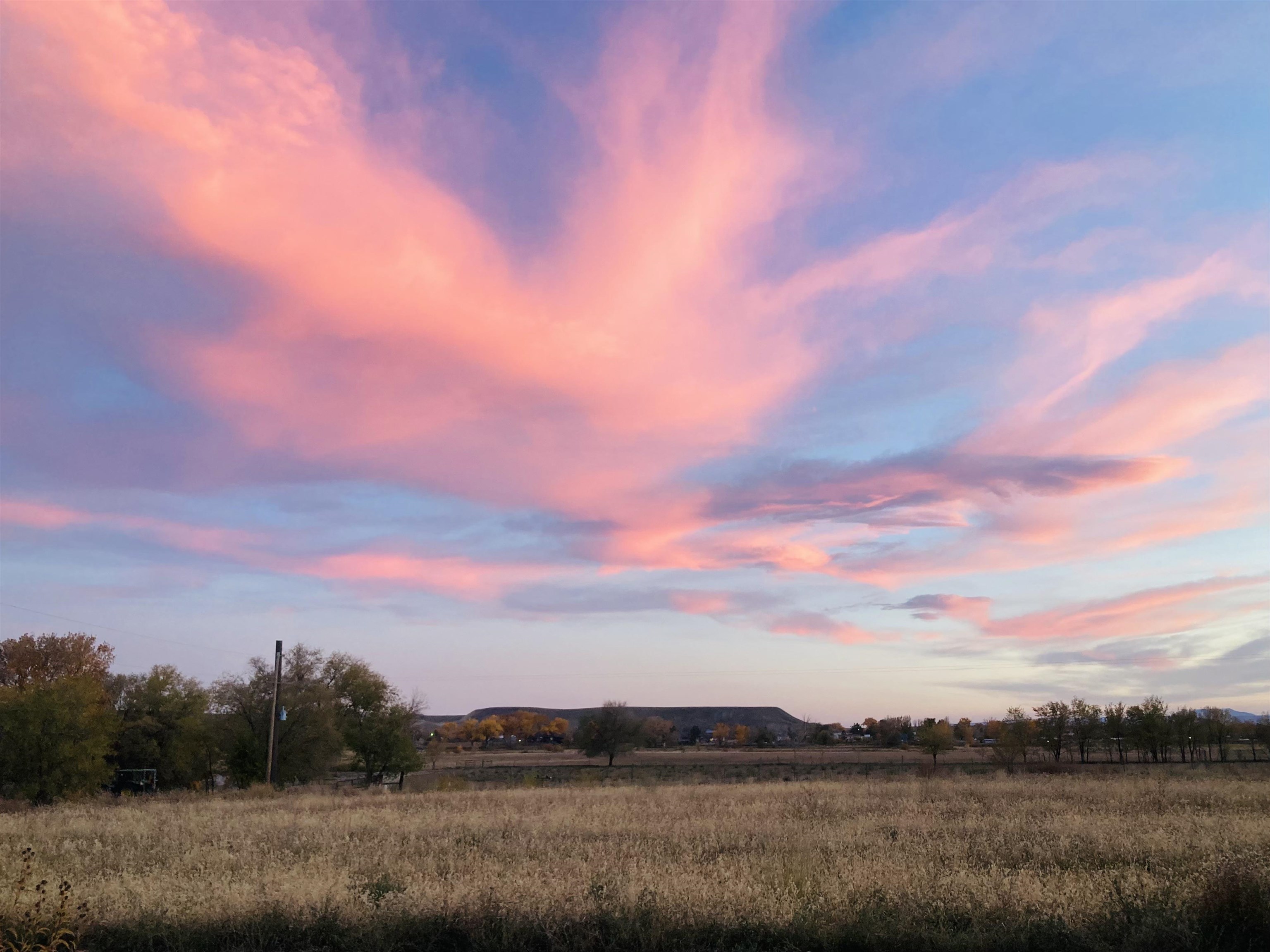 3216 C Road Grand Junction, CO 81503 - Photo 36 of 36