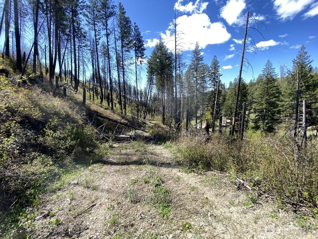 123-tbd Buzzard Lake Road Okanogan, WA 98840 - Photo 13 of 15