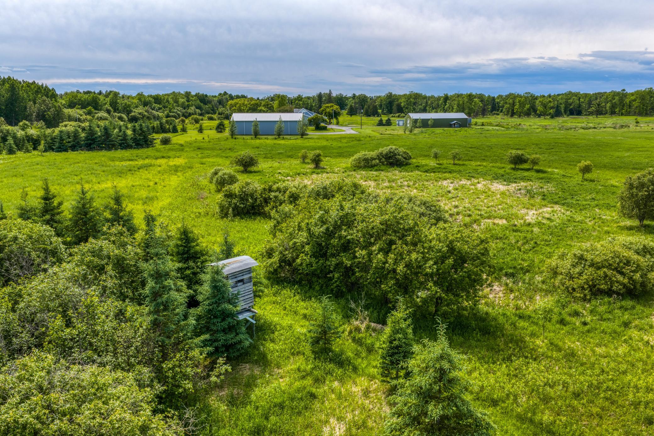 Tbd Lindgren Road Northeast Puposky, MN 56667 - Photo 50 of 54