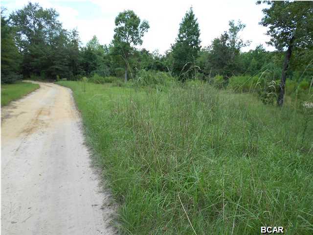 14 Lots Pleasant Ridge Road DeFuniak Springs, FL 32435 - Photo 5 of 10 Gallery Image 5