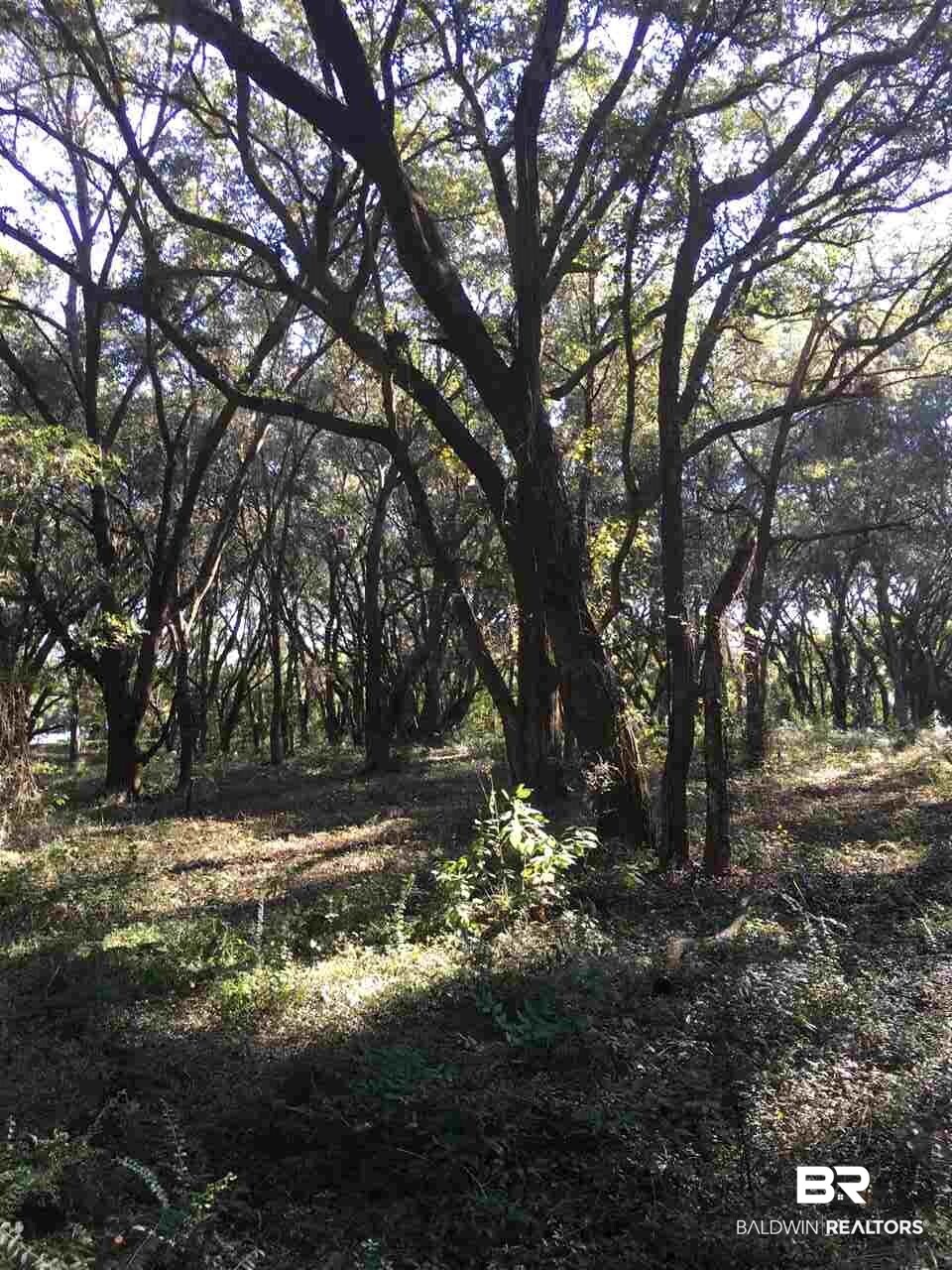 9690 Sherman Road Foley, AL 36535 - Photo 16 of 19