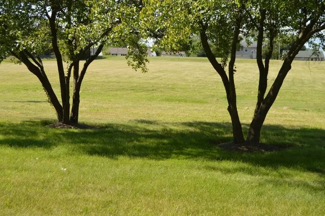 a view of a yard with a tree