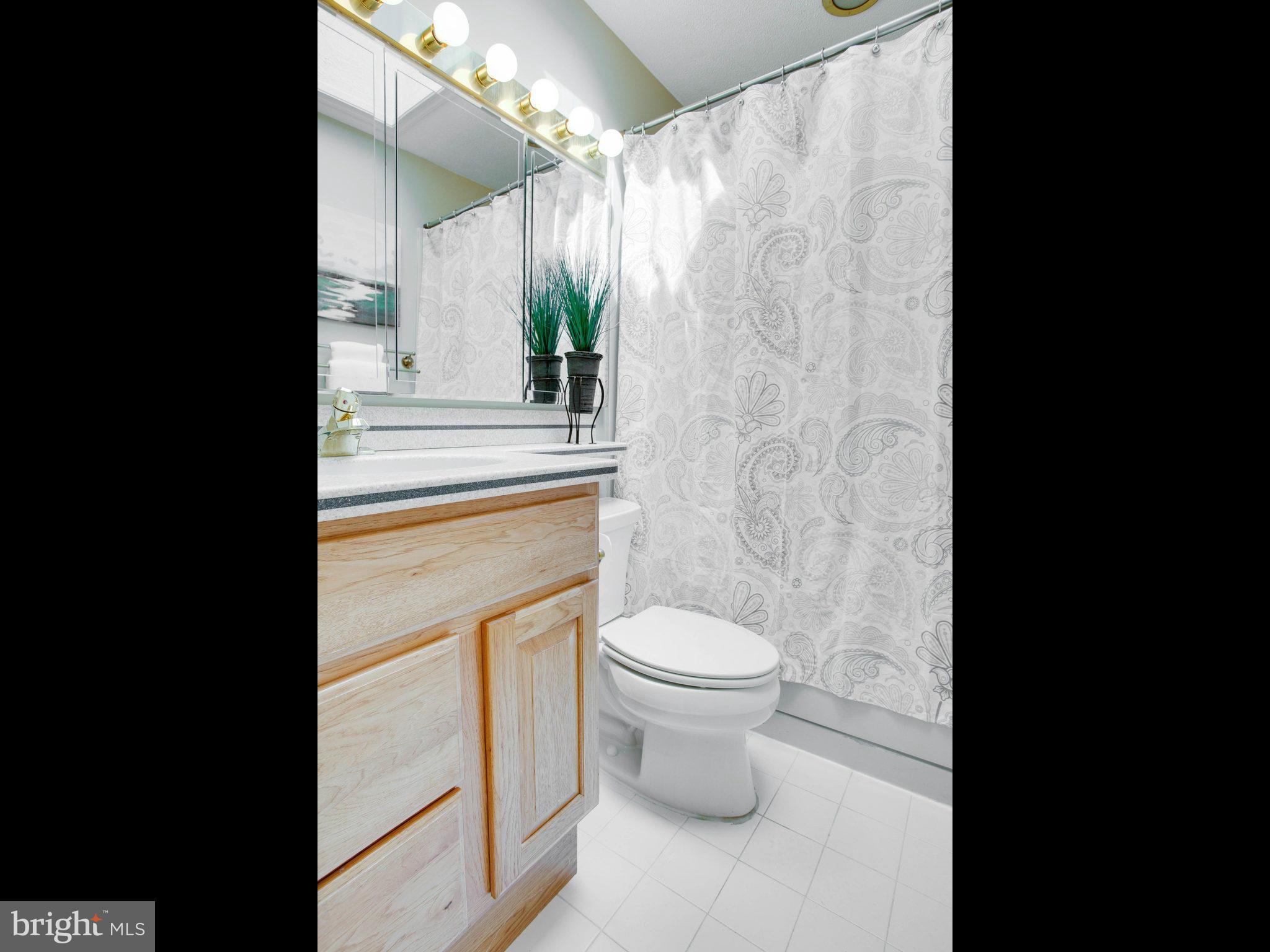 8900 Side Saddle Road Springfield, VA 22152 - Photo 18 of 30 Bath