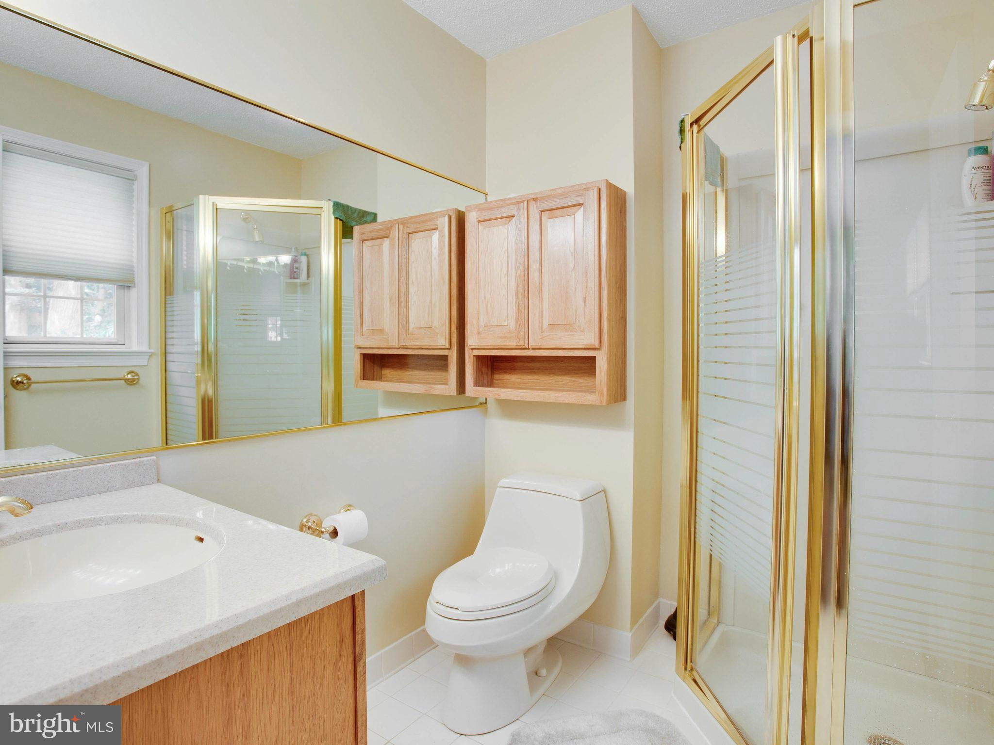 8900 Side Saddle Road Springfield, VA 22152 - Photo 21 of 30 Bath (Master)