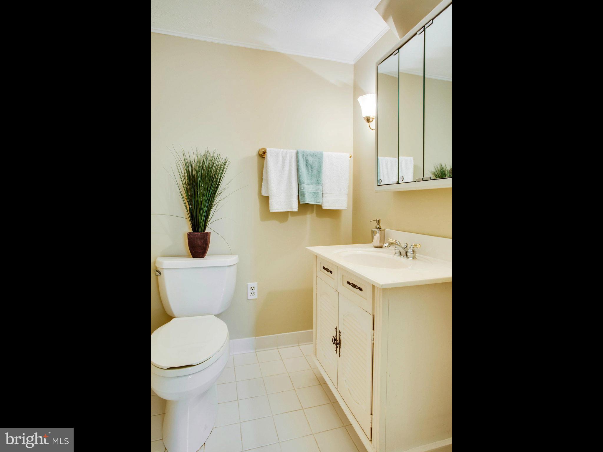 8900 Side Saddle Road Springfield, VA 22152 - Photo 25 of 30 Bath