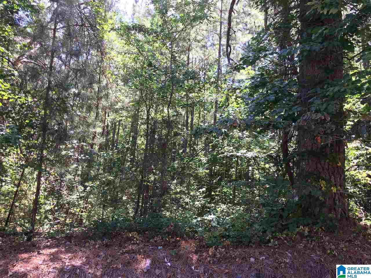 3901 Dean Road, Unit 5 ACRES Pinson, AL 35126 - Photo 10 of 25