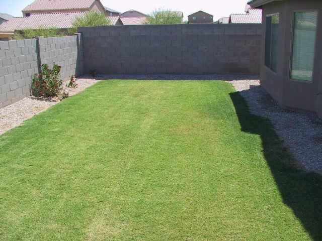 3606 West Vineyard Road Phoenix, AZ 85041 - Photo 7 of 7 a view of garden