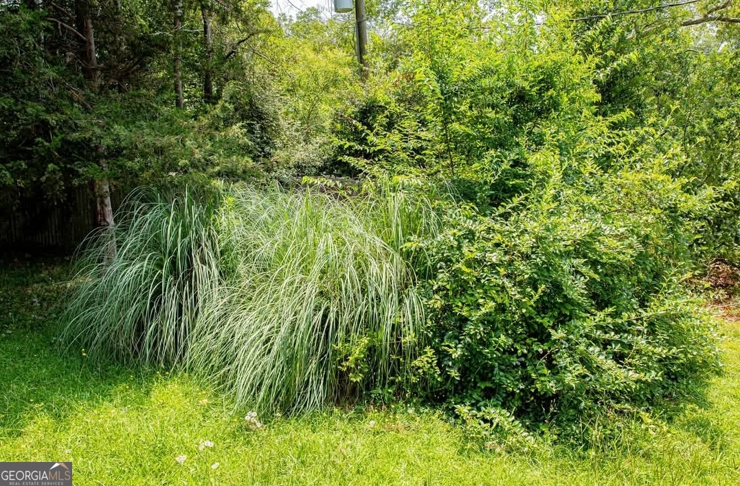 376 Covington Street Jackson, GA 30233 - Photo 90 of 90