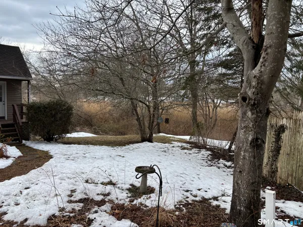 a view of dirt yard with a tree