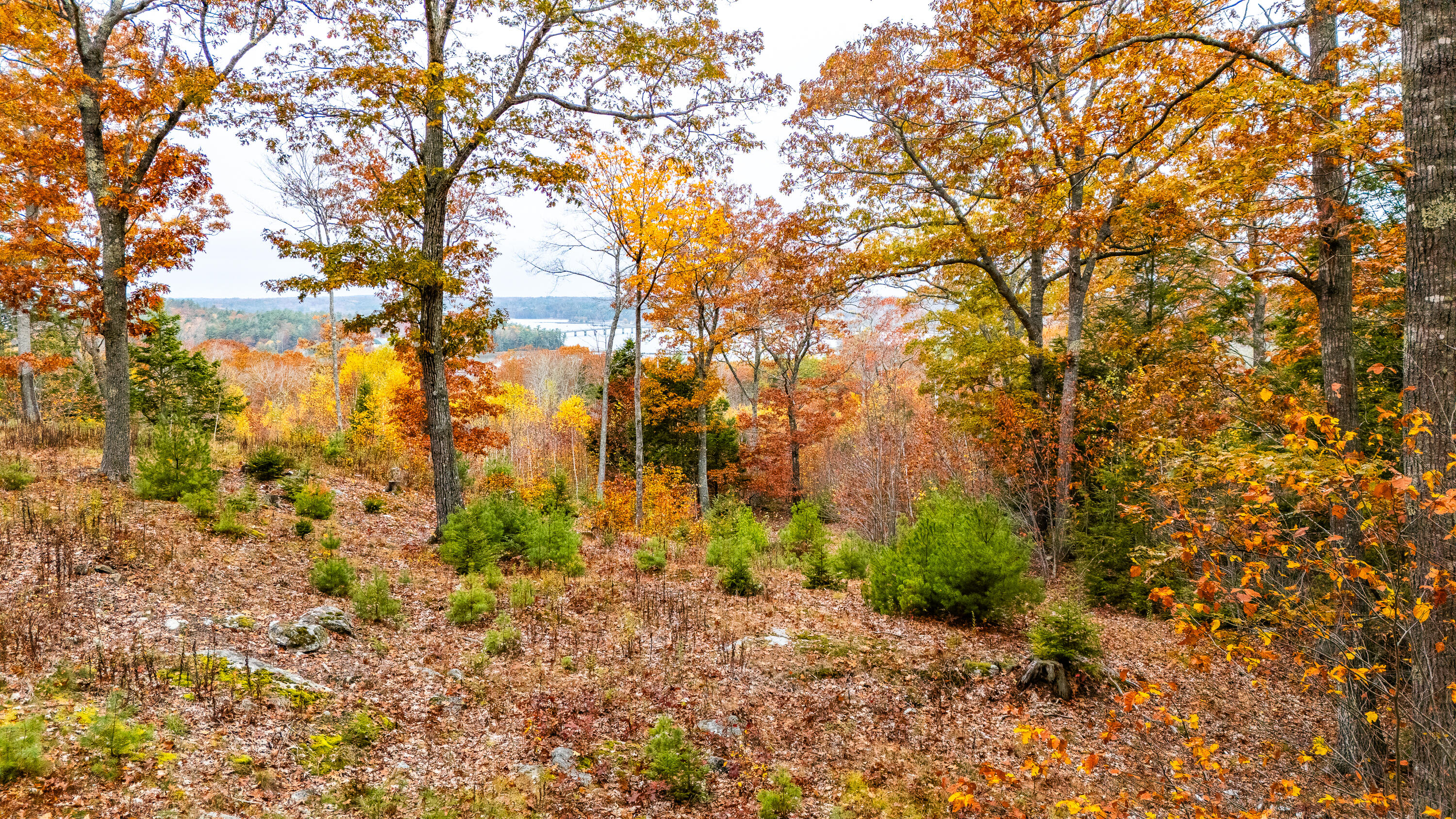 Lot#4 Bay View Trail Edgecomb, ME 04556 - Photo 25 of 48