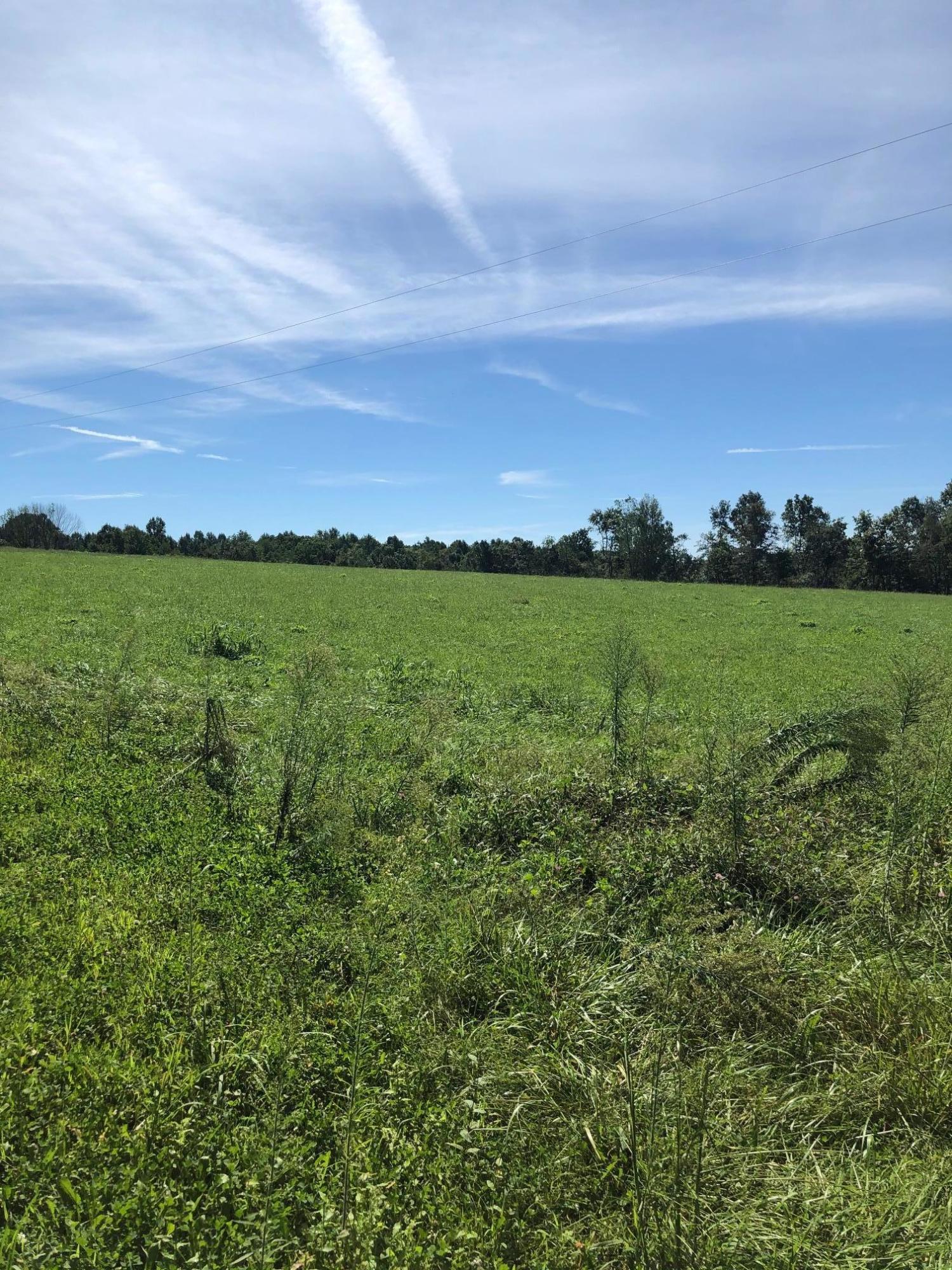 1555 Pleasant Point School Road Waynesburg, KY 40489 - Photo 37 of 58 50 Acres