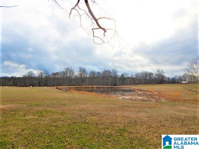 1777 Deaver Walker Road Cleveland, AL 35049 - Photo 19 of 21