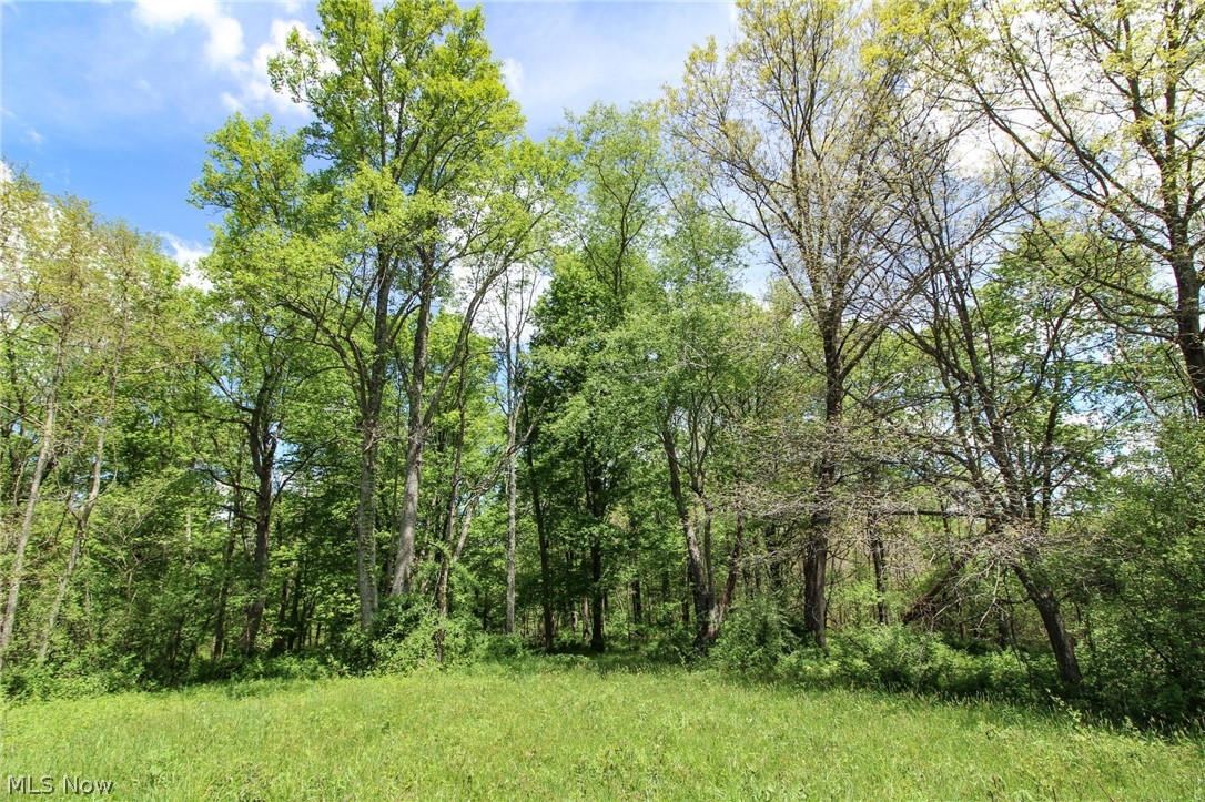 Wilsonwood Road Blue Rock, OH 43720 - Photo 12 of 34 Gallery Image 12