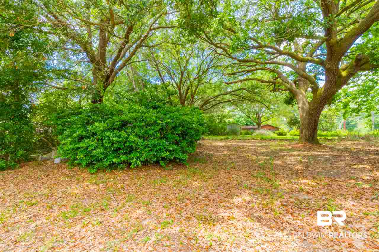 22940 Highway 98 Foley, AL 36535 - Photo 17 of 20