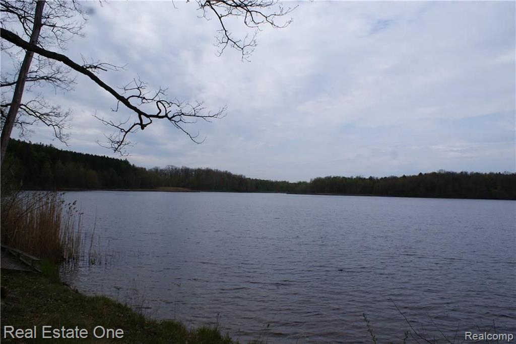 2 McKeen Lake Road Columbiaville, MI 48421 - Photo 12 of 51