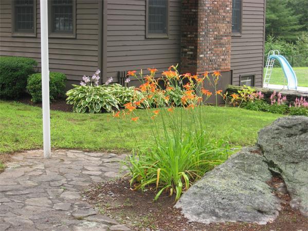 333 New Boston Road Sturbridge, MA 01566 - Photo 17 of 24 a view of a backyard with plants