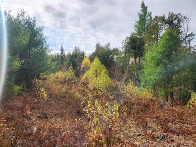 $129,000 | Lot B Lot B Blackberry Lane, Buckfield, ME 04220
