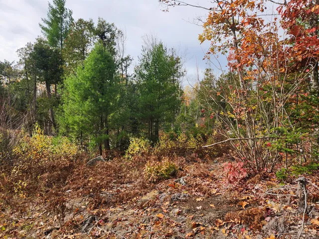 $129,000 | Lot B Lot B Blackberry Lane, Buckfield, ME 04220