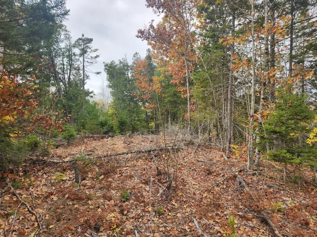 $129,000 | Lot B Lot B Blackberry Lane, Buckfield, ME 04220