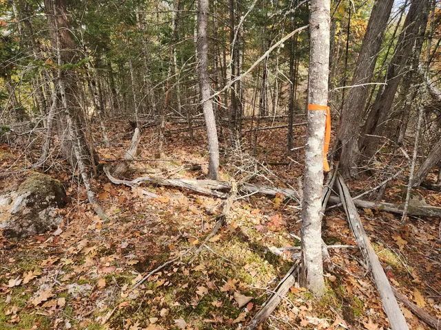 $129,000 | Lot B Lot B Blackberry Lane, Buckfield, ME 04220