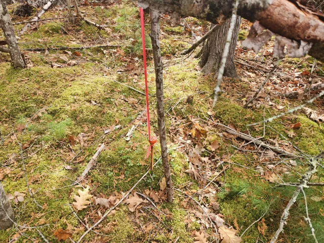 $129,000 | Lot B Lot B Blackberry Lane, Buckfield, ME 04220