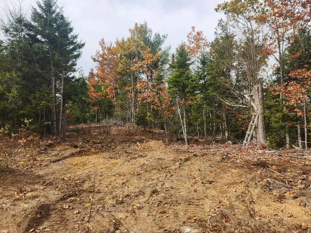 $129,000 | Lot B Lot B Blackberry Lane, Buckfield, ME 04220