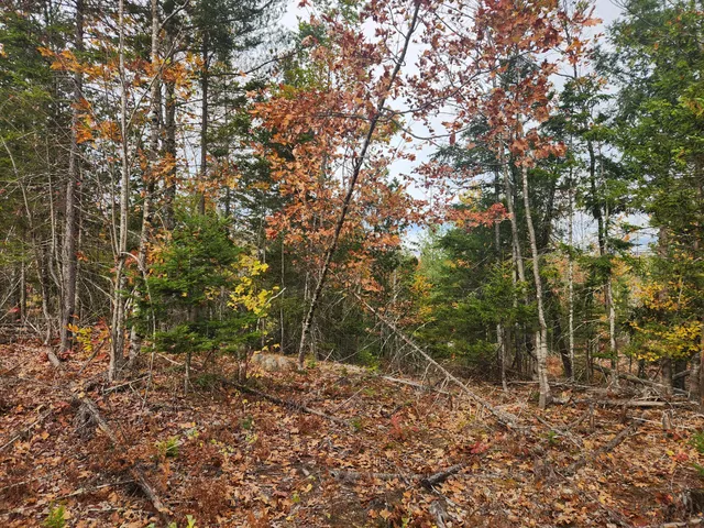 $129,000 | Lot B Lot B Blackberry Lane, Buckfield, ME 04220