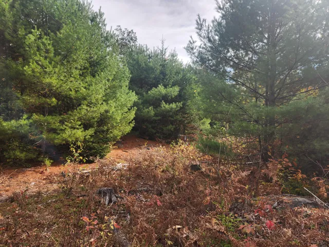 $129,000 | Lot B Lot B Blackberry Lane, Buckfield, ME 04220
