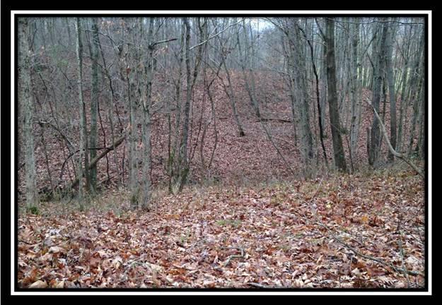 37849 New Lima Road Rutland, OH 45775 - Photo 7 of 8