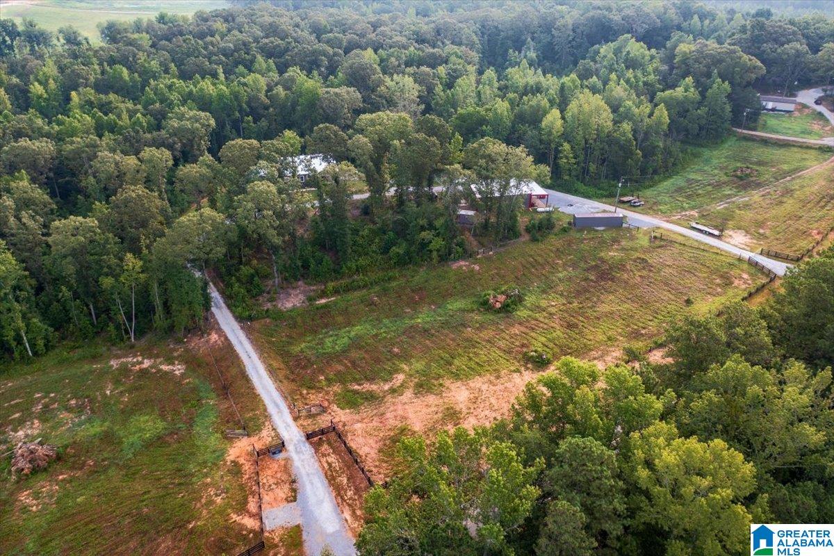 12414 County Road 49 Heflin, AL 36264 - Photo 17 of 63