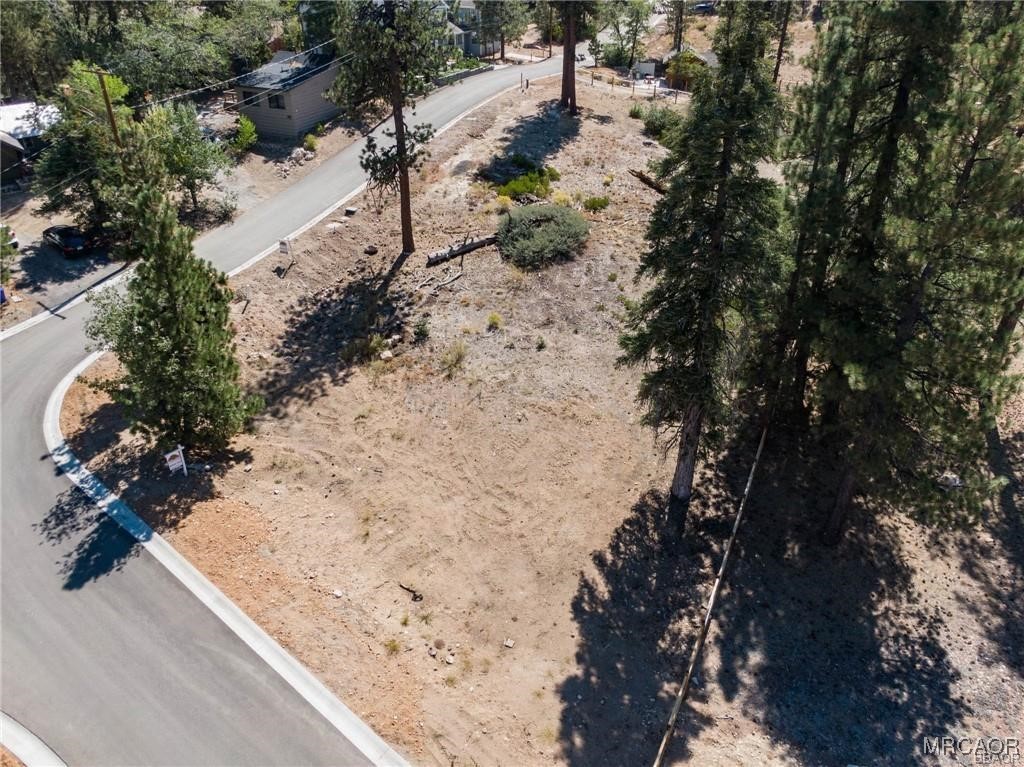 810 Talmadge Road Big Bear Lake, CA 92315 - Photo 4 of 18