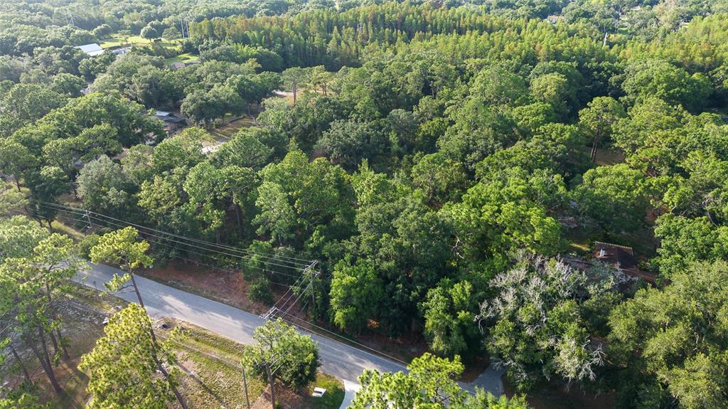 Lake Le Clare Road Lutz, FL 33558 - Photo 4 of 17