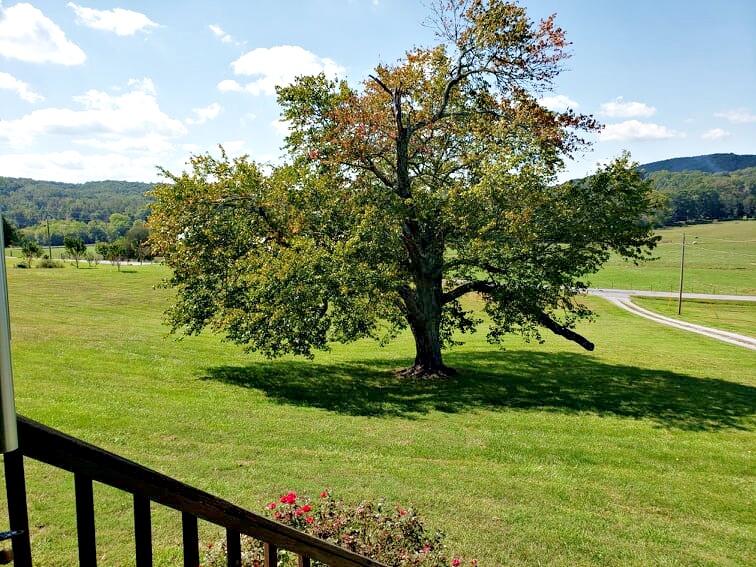 150 County Road 189 Decatur, TN 37322 - Photo 4 of 35 243178577_585802172457787_69913314298376