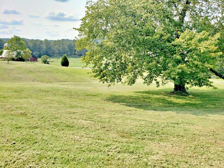 150 County Road 189 Decatur, TN 37322 - Photo 10 of 35 241027344_4281454475235954_1612364478676