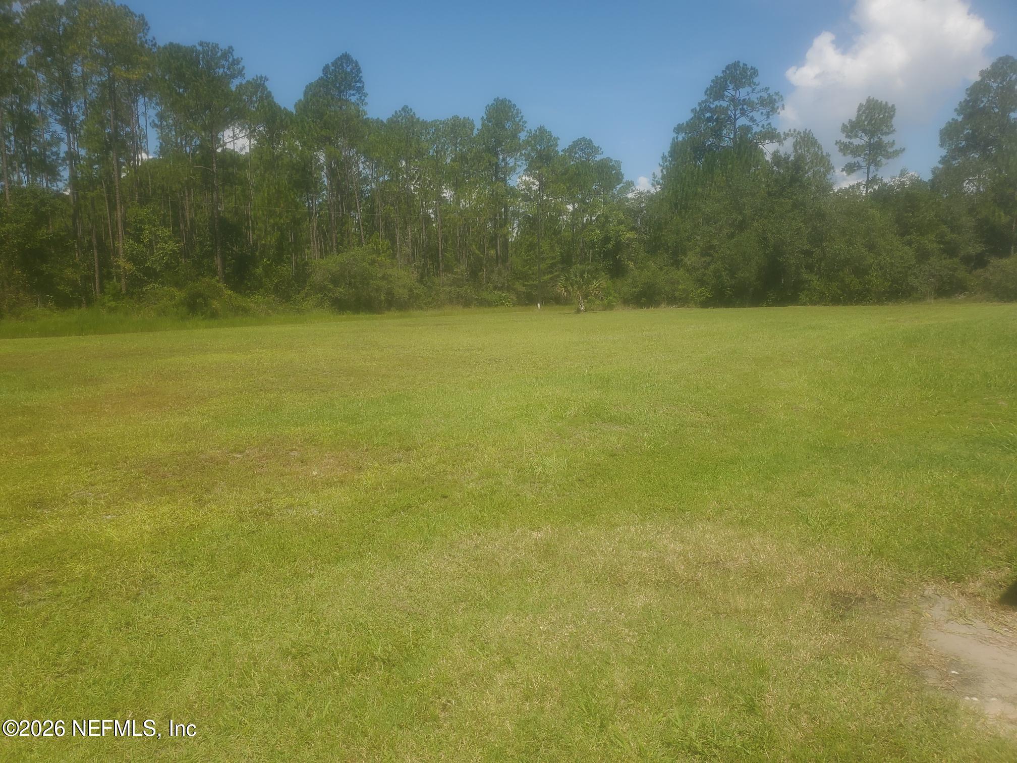 102 Glenside Street Georgetown, FL 32139 - Photo 1 of 1 a view of a yard with a tree