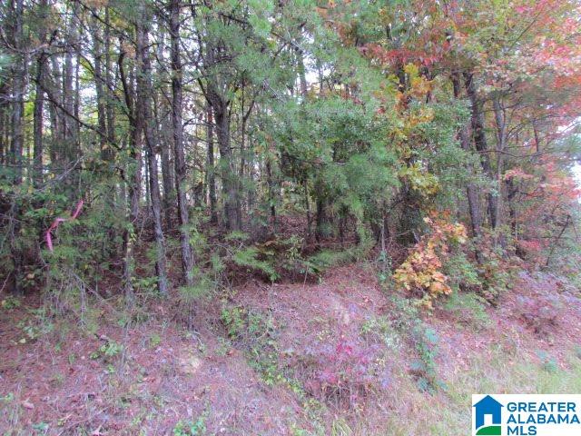 Acton Road, Unit 19A Moody, AL 35004 - Photo 2 of 3