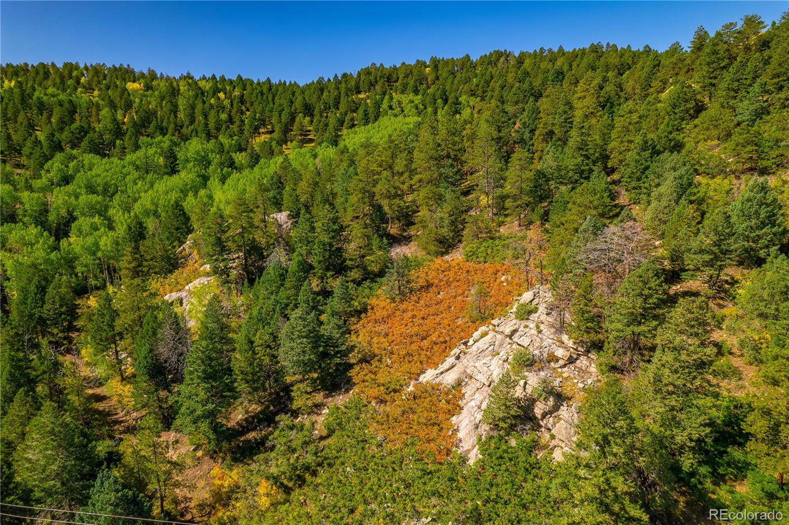 13007 South Kuehster Road Littleton, CO 80127 - Photo 11 of 50