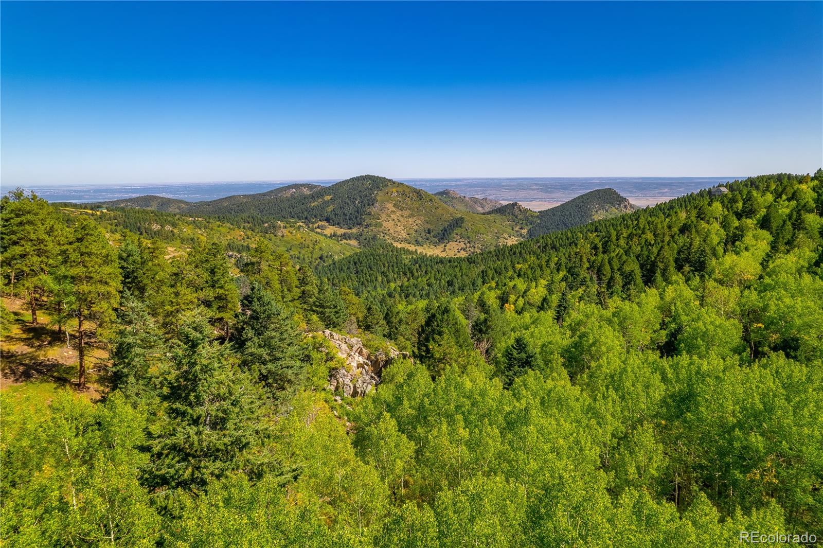 13007 South Kuehster Road Littleton, CO 80127 - Photo 13 of 50