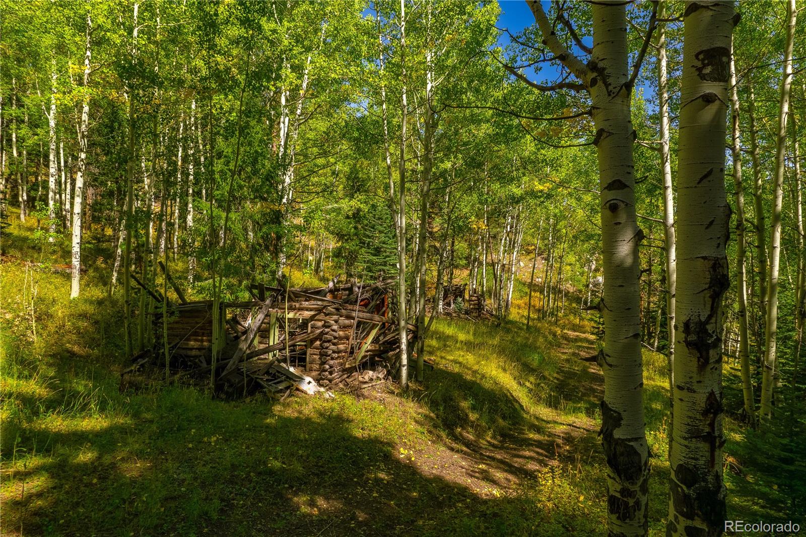 13007 South Kuehster Road Littleton, CO 80127 - Photo 14 of 50