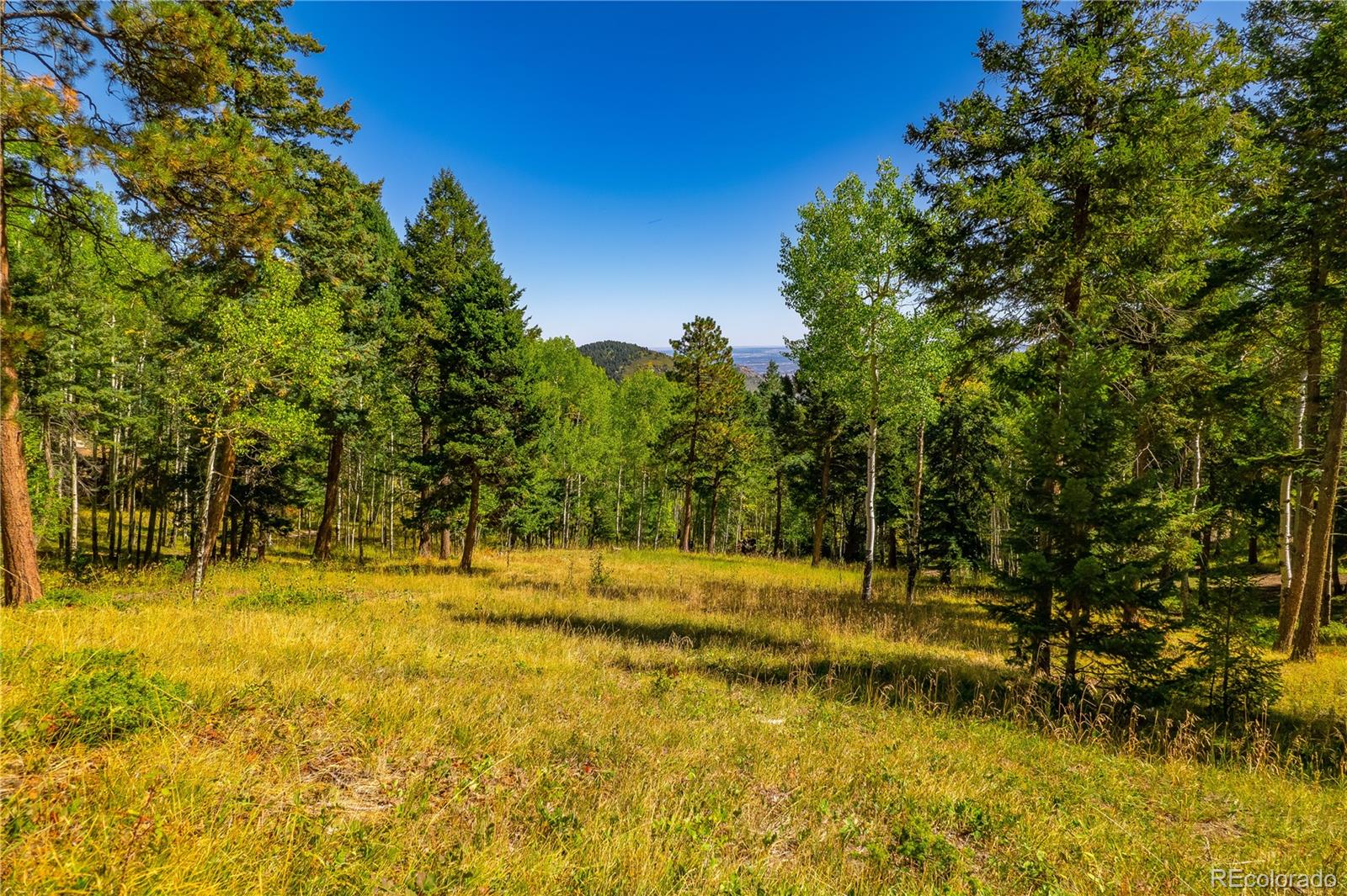 13007 South Kuehster Road Littleton, CO 80127 - Photo 15 of 50