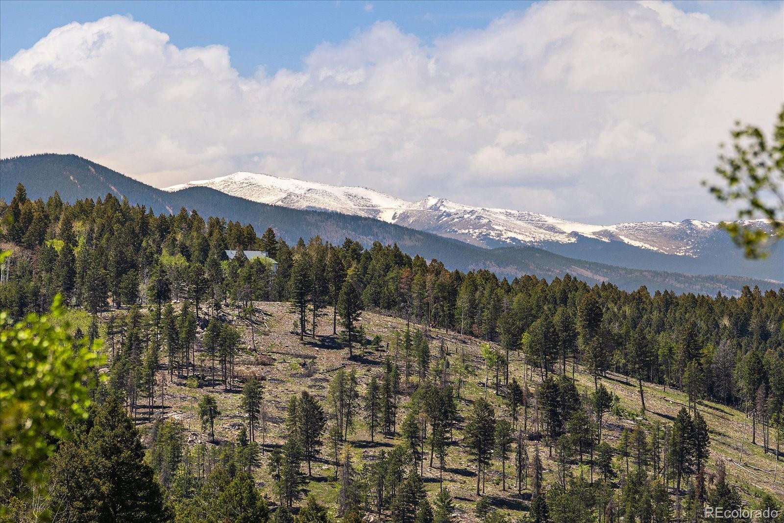13007 South Kuehster Road Littleton, CO 80127 - Photo 47 of 50