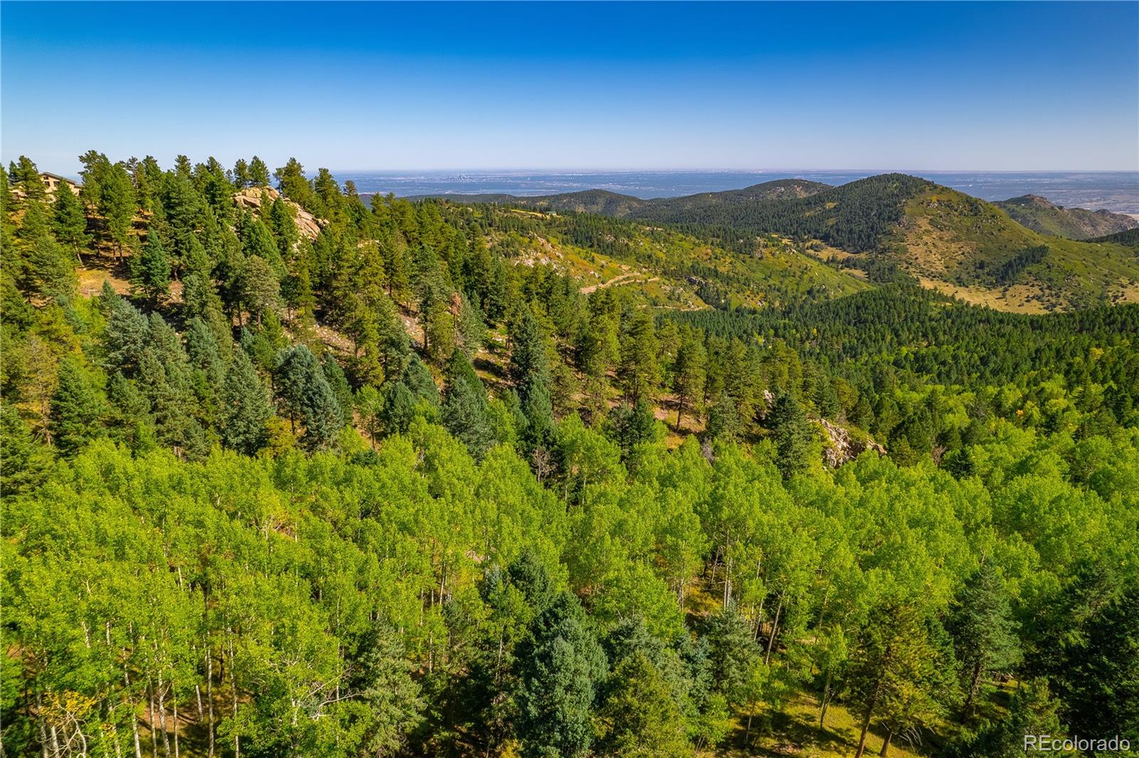 13007 South Kuehster Road Littleton, CO 80127 - Photo 8 of 50