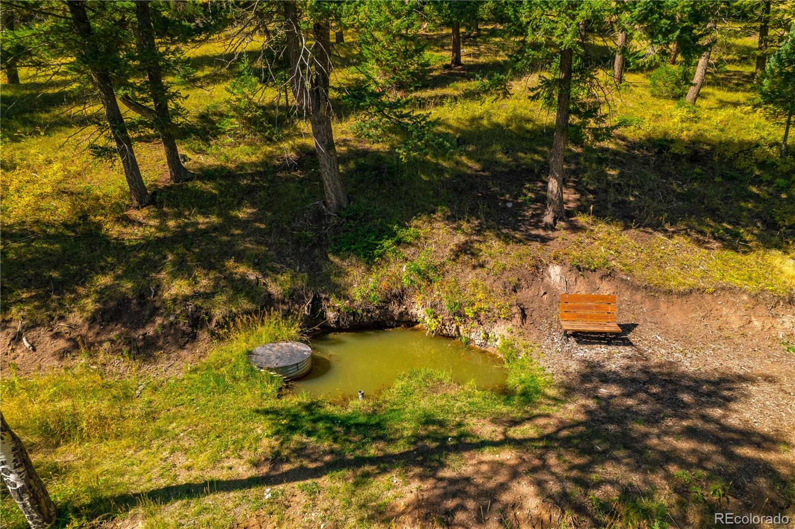 13007 South Kuehster Road Littleton, CO 80127 - Photo 9 of 50