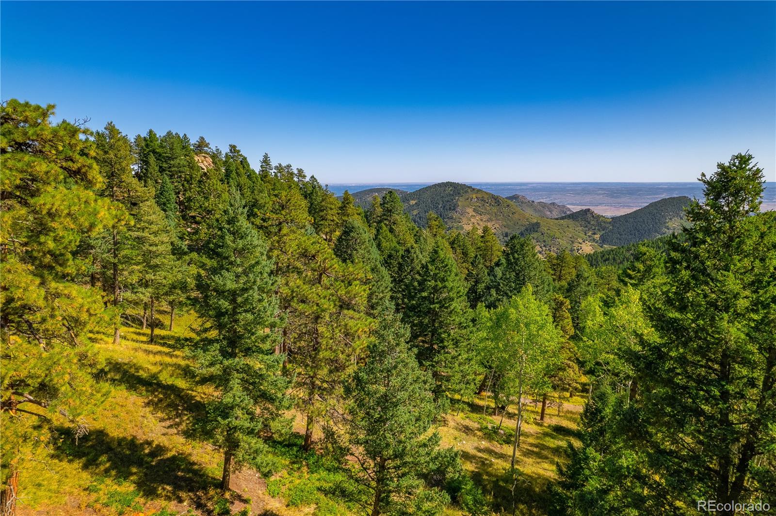 13007 South Kuehster Road Littleton, CO 80127 - Photo 10 of 50